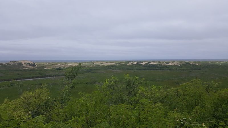 Pilgrim Heights (North Truro)