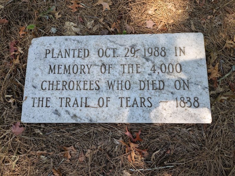 The Treaty That Changed Cherokee History Forever