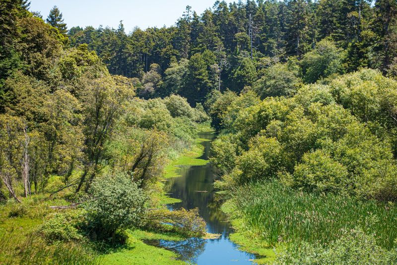 Pudding Creek Estuary