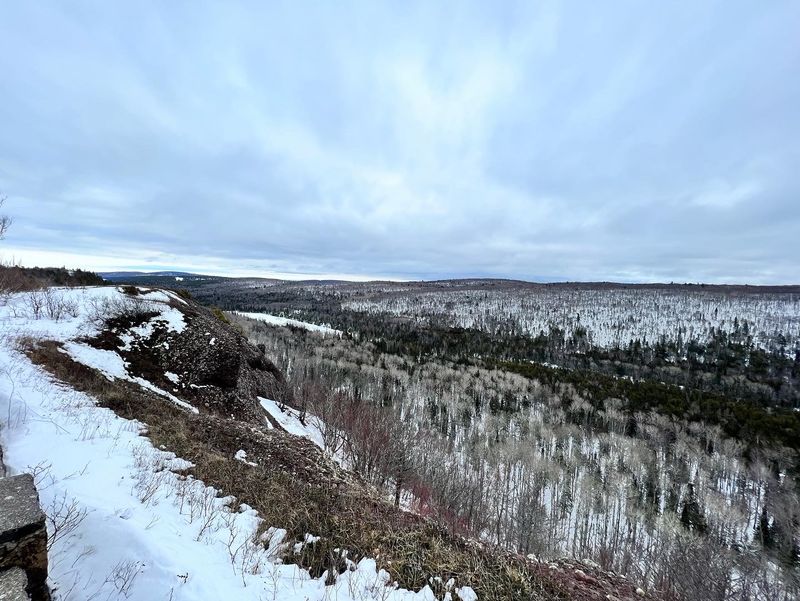 Winter Transforms Everything Into Crystal Magic