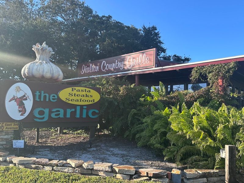 The Garlic