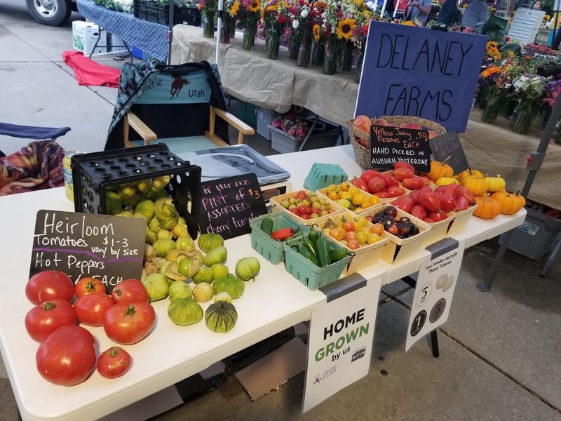 Midland Area Farmers Market &mdash; Midland, MI