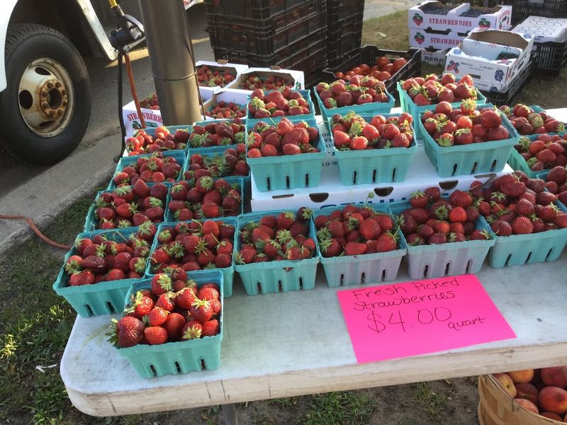 Midland Area Farmers Market 