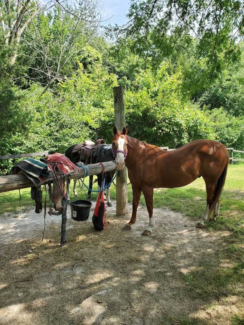 Lake Red Rock Horse Camp & Trails - Knoxville, Iowa