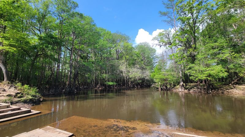 Lynches River County Park