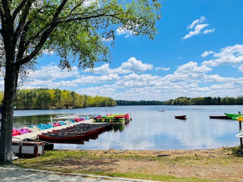 Cochituate State Park Beach - Natick