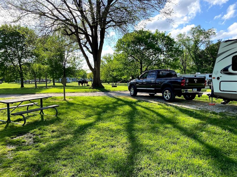 Camping Here Feels Like A Proper Getaway