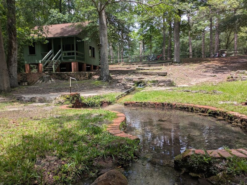 Walking Trails That Reward Slow Exploration