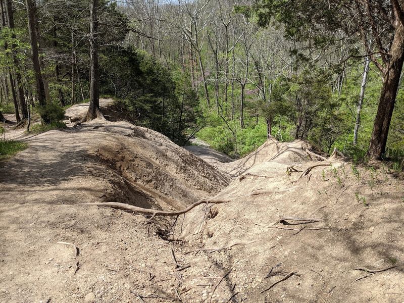 Hueston Woods State Park