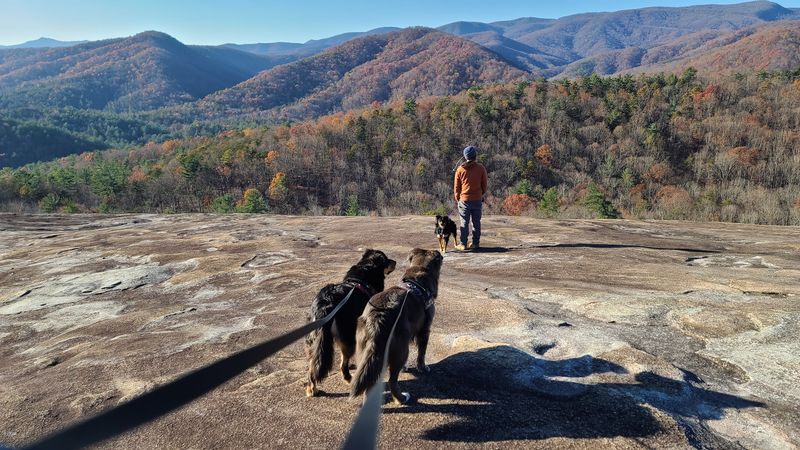 The Famous Stone Mountain Loop Trail