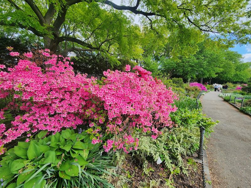 A Living Canvas of Seasonal Blooms