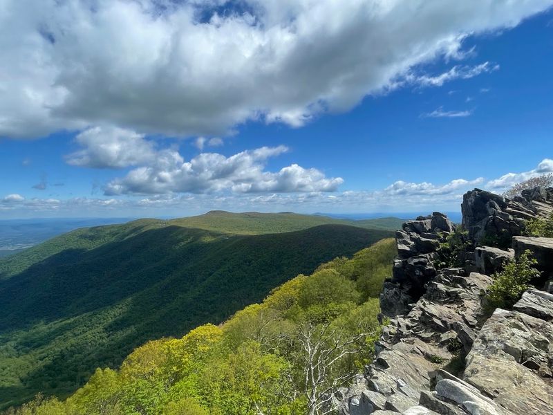 White Oak Canyon - Syria, Madison County