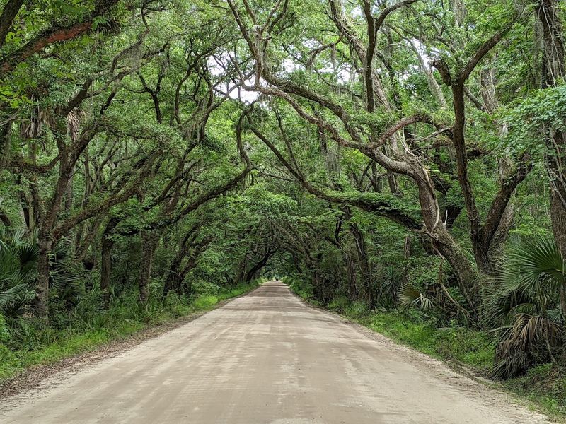 Botany Bay Plantation, Edisto Island, Charleston County