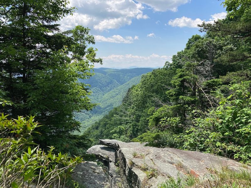 Rim of the Gap Trail - Caesars Head, Greenville County