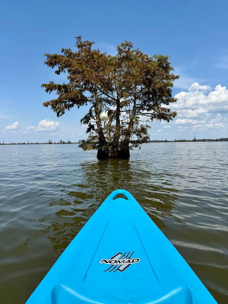 Lake Marion - Summerton, Clarendon County