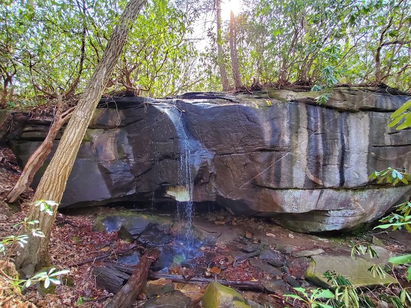 Caesar's Head State Park - Cleveland, Greenville County