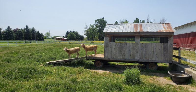 Lively Run Dairy, Interlaken, Seneca County
