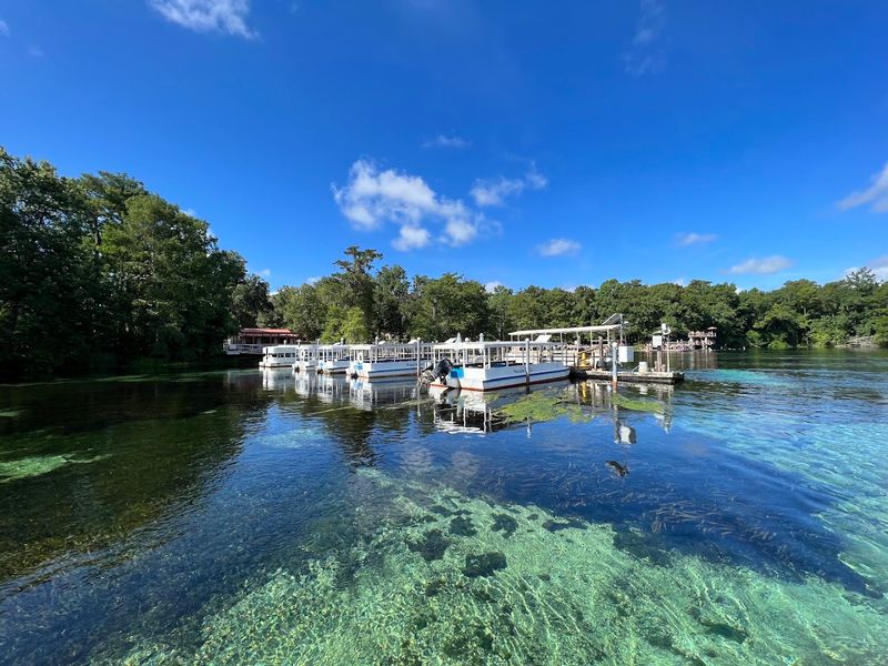 Wakulla Springs State Park - Wakulla Springs, Wakulla County