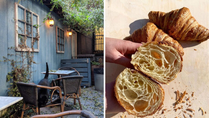 I Thought I’d Had Great Croissants Before Then I Visited These 12 New York Bakeries