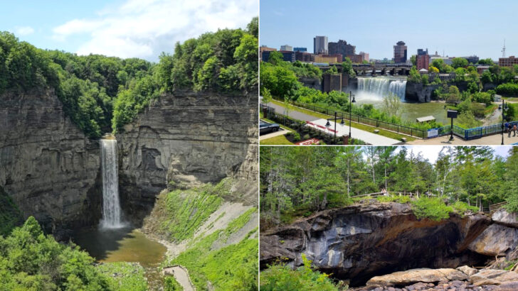 I Thought New York Couldn’t Surprise Me Anymore Then I Found These 10 Attractions