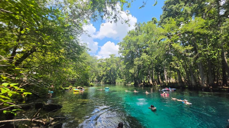Manatee Springs - Chiefland, Levy County