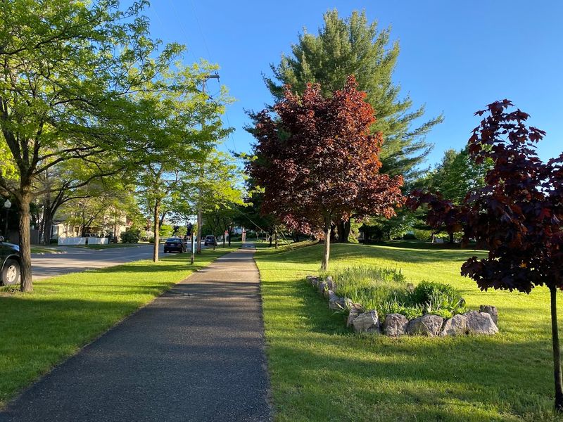 Traverse Area Recreation Trail