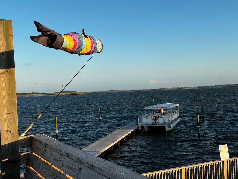 Kitty Hawk Kites Dolphin Tours