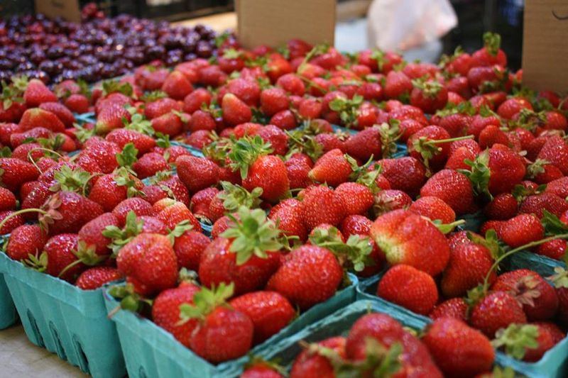 Cooperstown Farmers' Market 