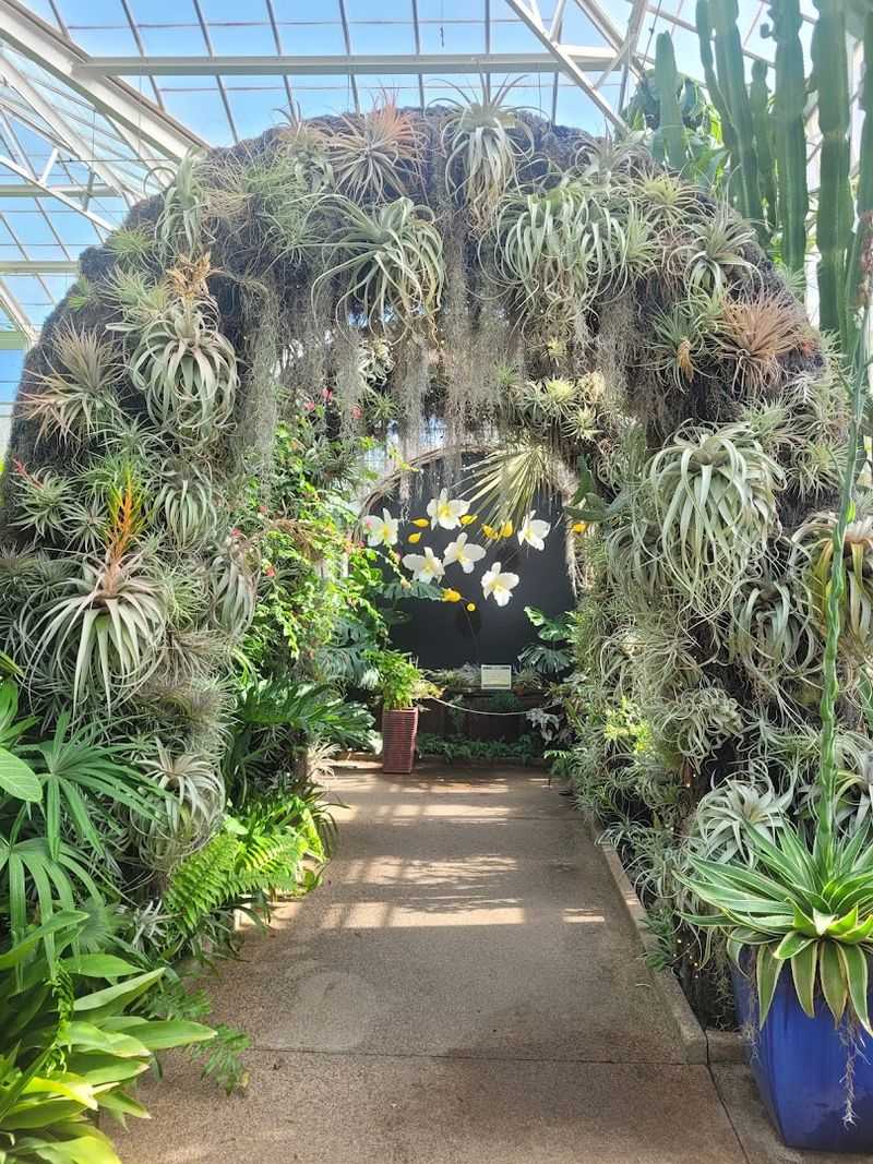 Daniel Stowe Botanical Garden
