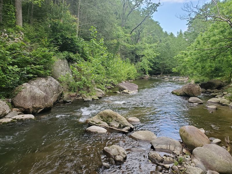 Rapidan River - Syria, Madison County