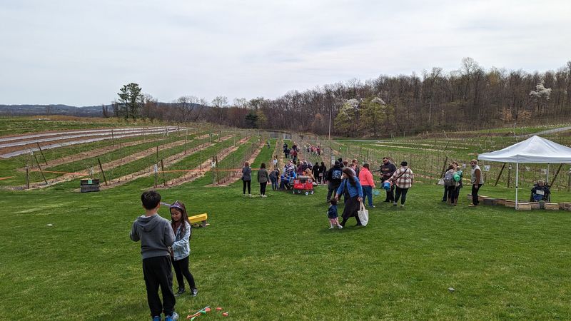 Hollabaugh Bros. Fruit Farm & Market (Biglerville)