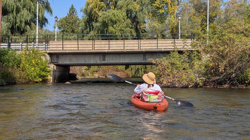 Sturgeon River