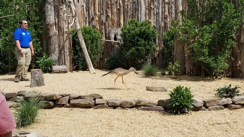 Discover the Desert Habitat
