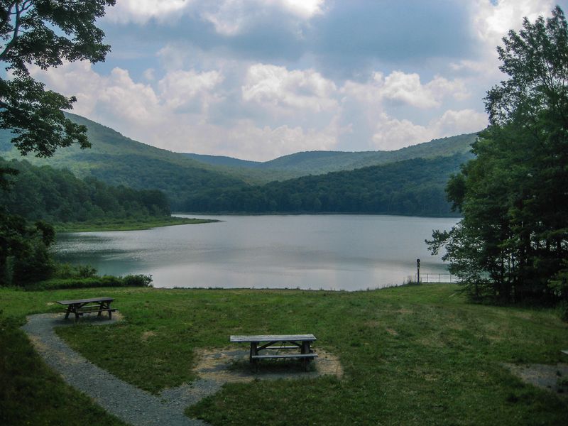 Alder Lake