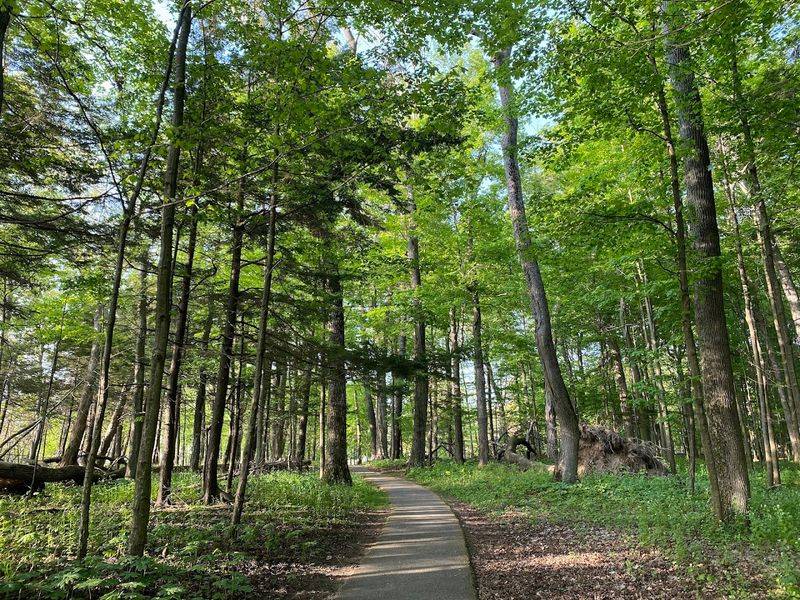 Selkirk Shores State Park - Pulaski, Oswego County