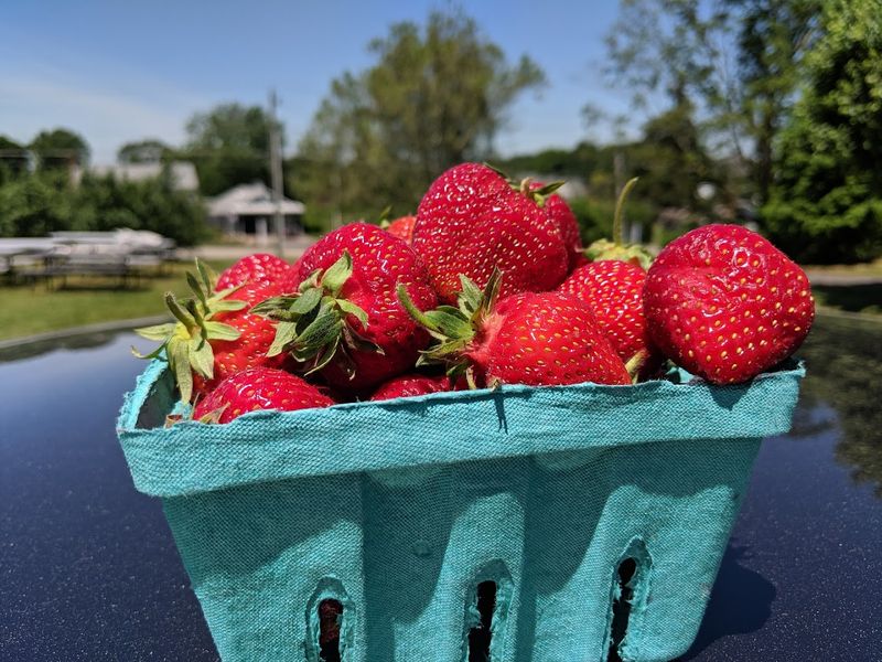 Riverview Farm - South Glastonbury, Hartford County