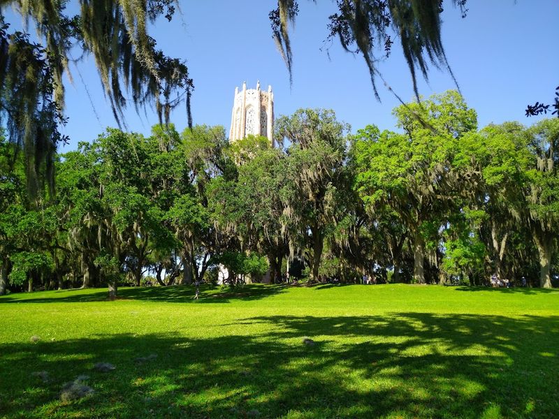 Stroll peaceful gardens, enjoy the Singing Tower, and picnic beneath giant oaks at Bok Tower Gardens