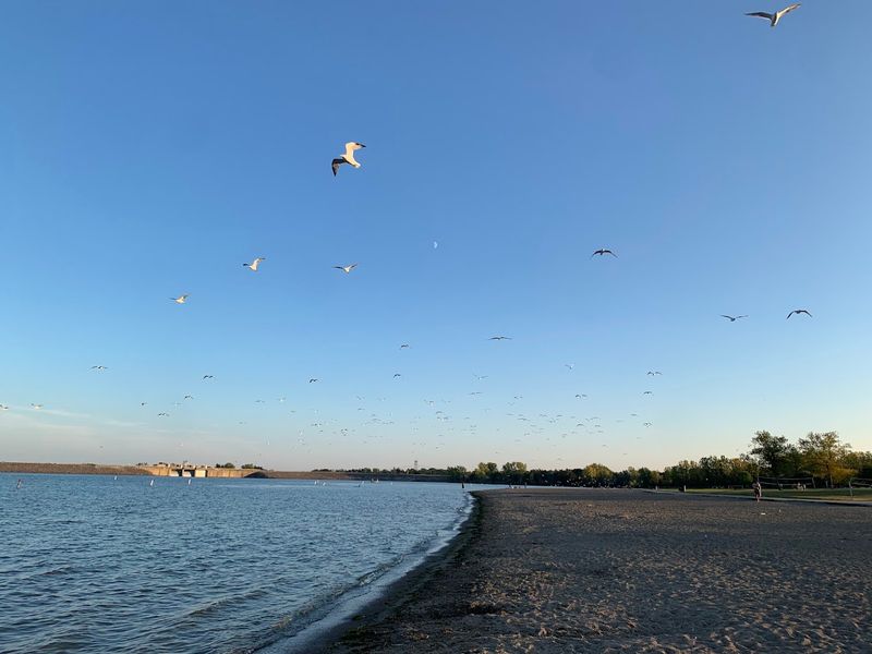 Alum Creek State Park Beach - Delaware