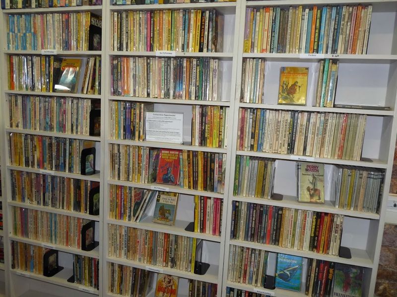 Organization That Makes Finding Books Actually Easy