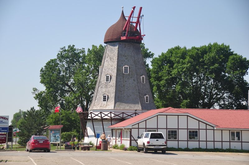 Elk Horn
