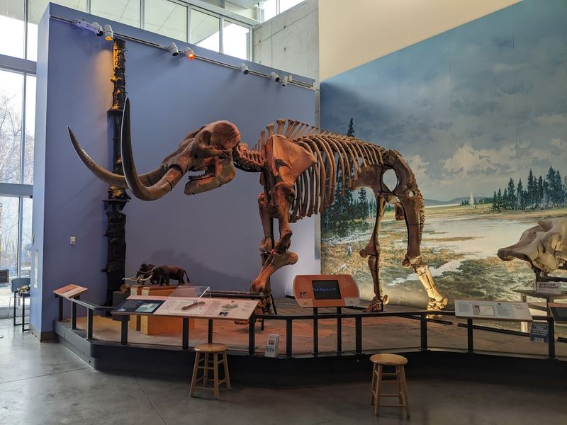 Museum of the Earth — Ithaca