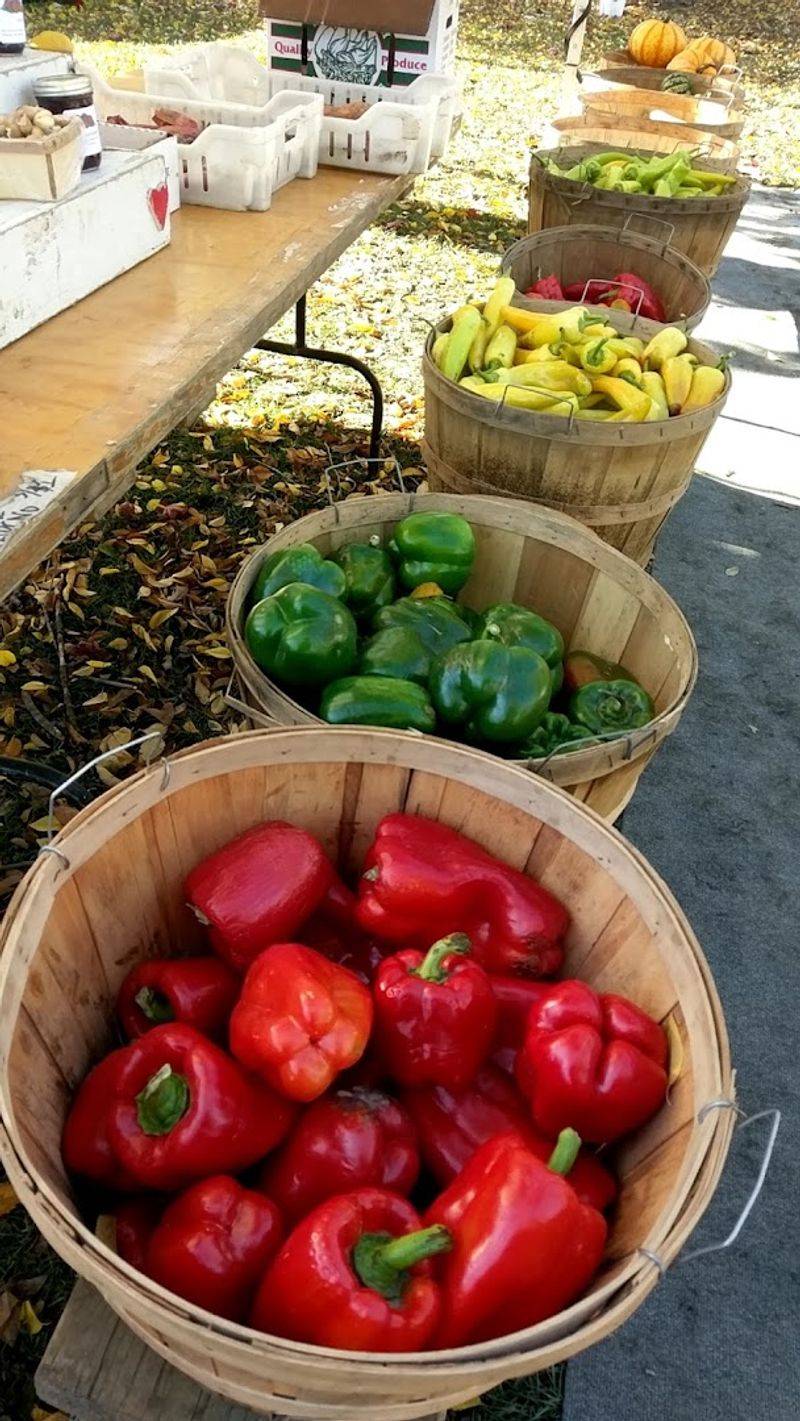 Elmwood Village Farmers Market - Buffalo