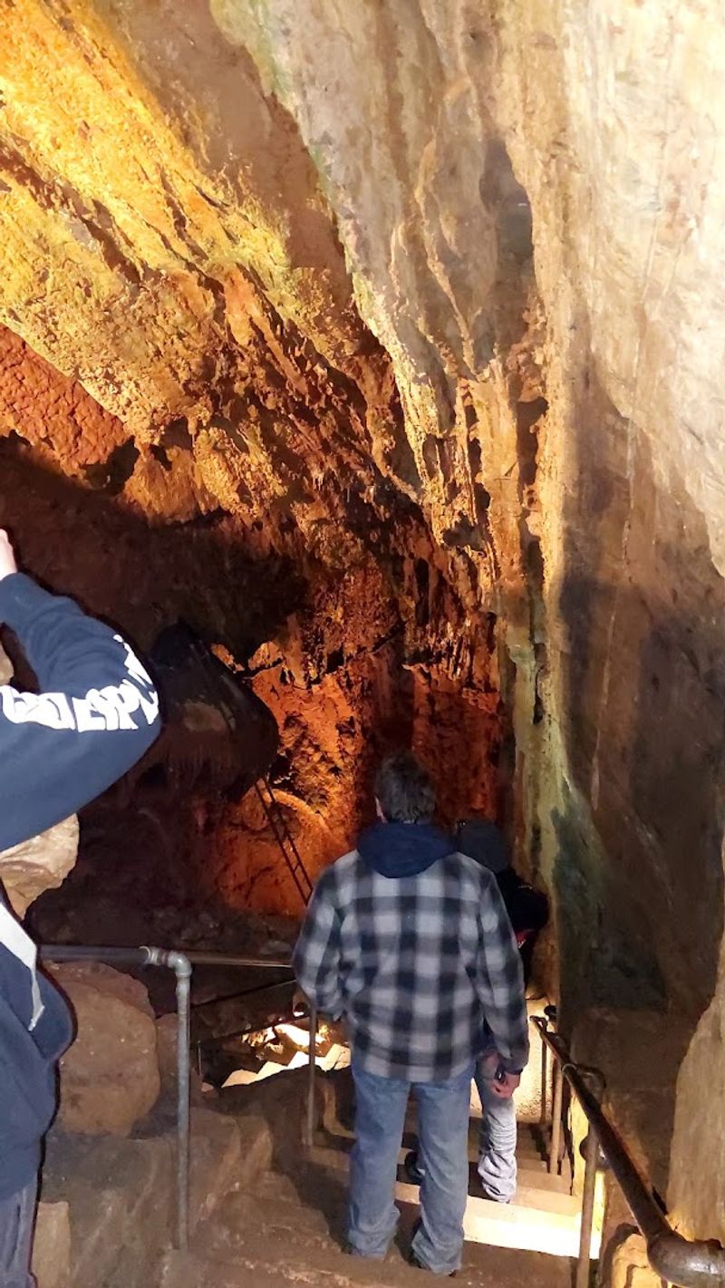The Geology Tour: A Deep Dive Into Earth Science