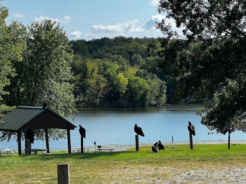 Nine Eagles State Park Beach