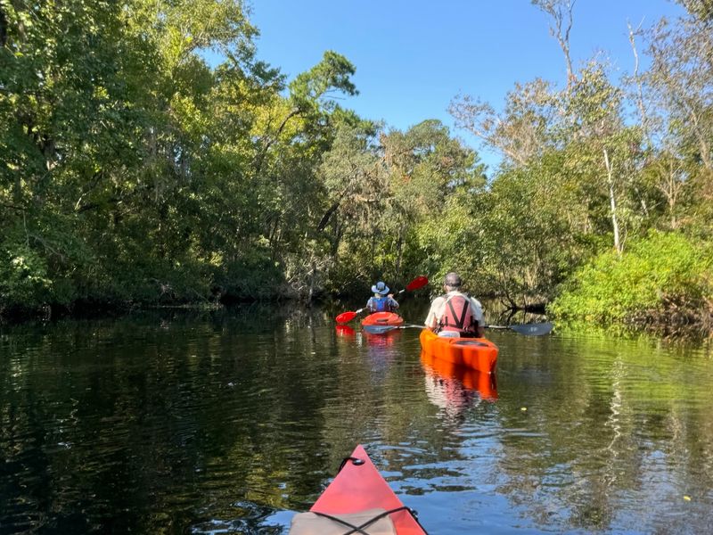 Cumberland Island - St. Marys, Camden County, Georgia