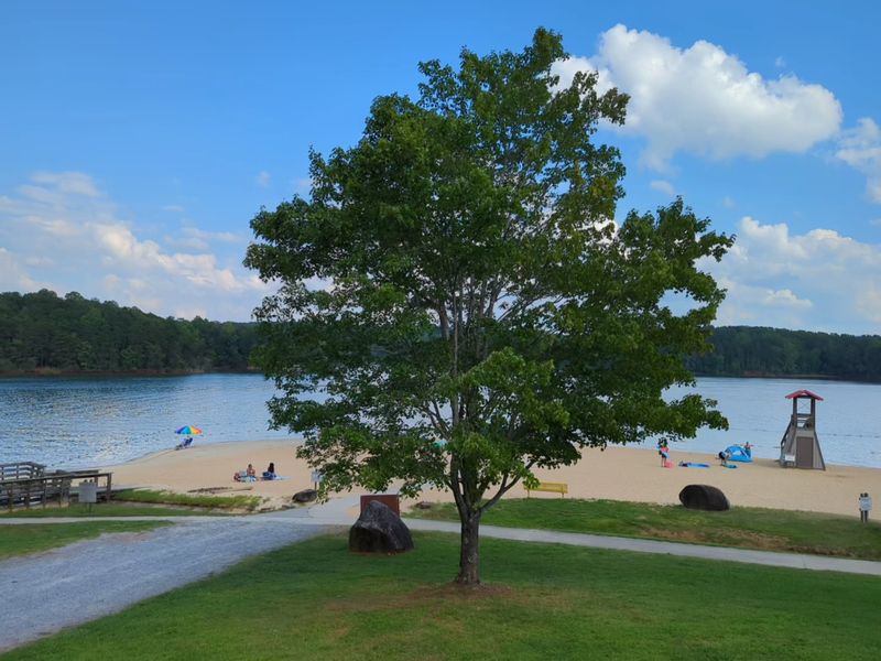 Smith Mountain Lake State Park Beach - Huddleston