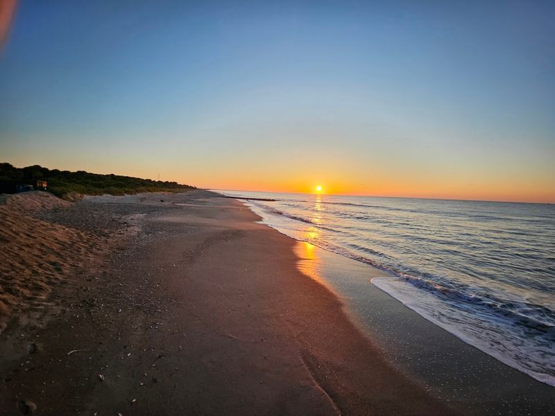 Edisto Beach State Park, Edisto Island, Colleton County