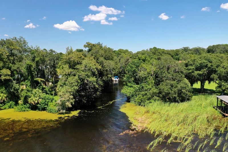 Lake Tarpon