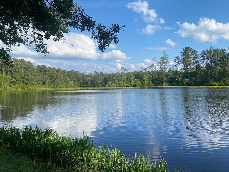 Main Pond &ndash; Aiken State Park (Windsor)