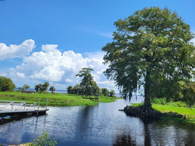 Lake Blue Cypress